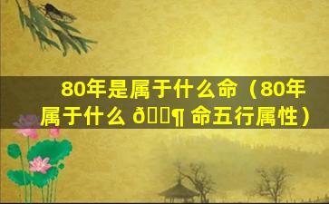 80年是属于什么命（80年属于什么 🐶 命五行属性）